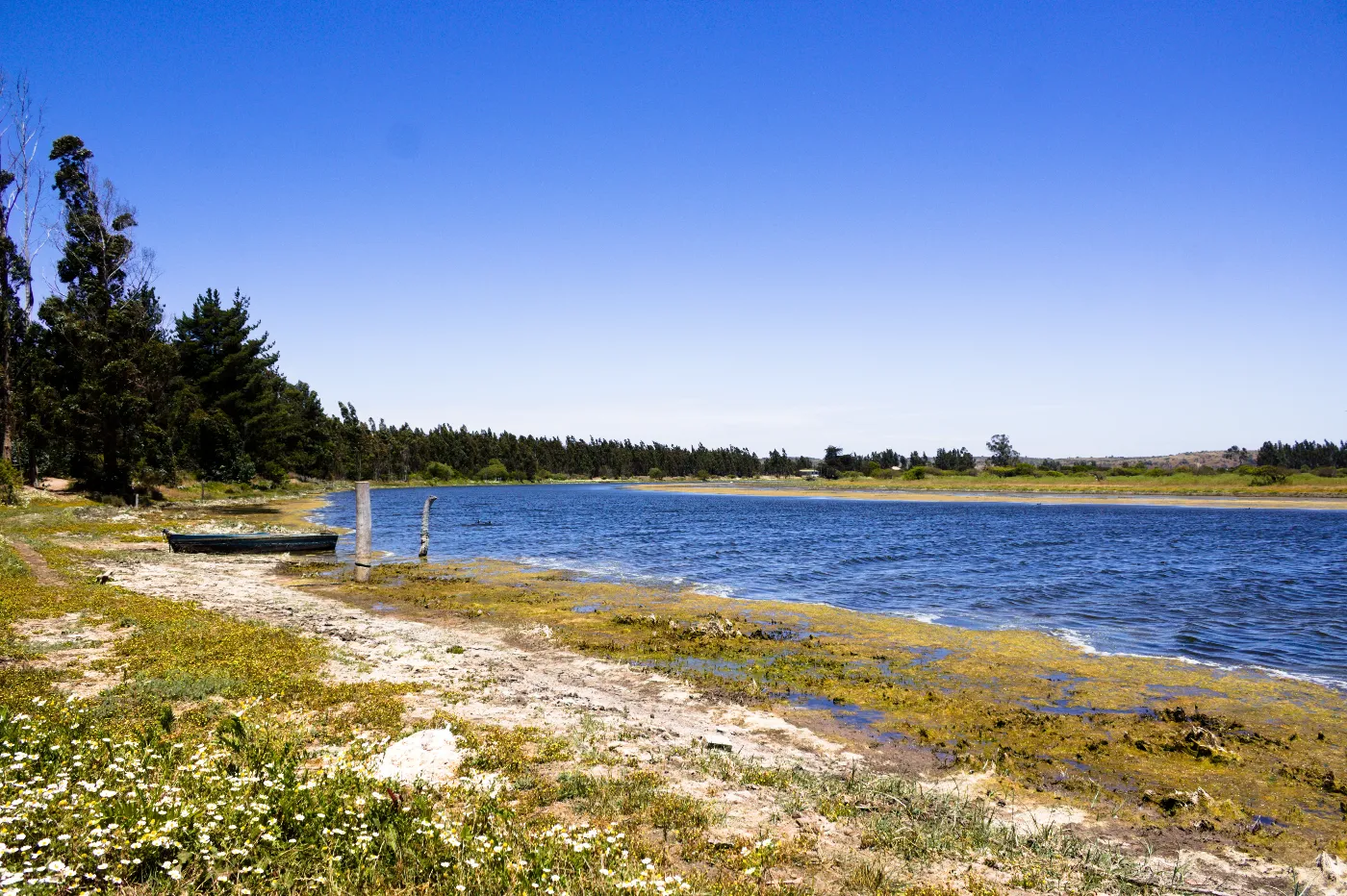 Estero El Yali fluyendo hacia el mar con presencia de aves en sus riberas.