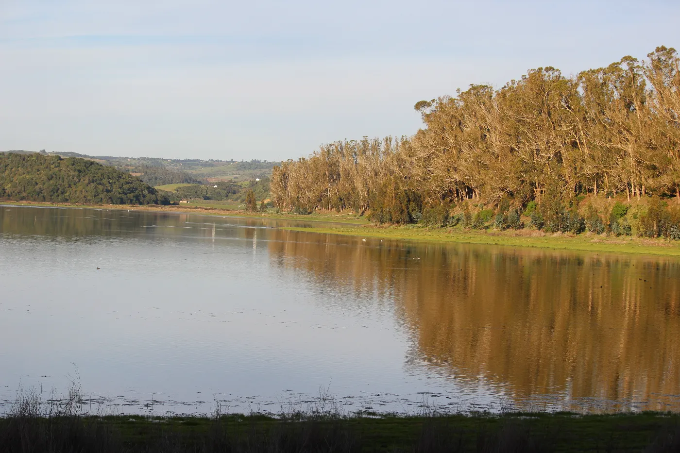 Laguna Matanzas en el Santuario de la Naturaleza Humedal El Yali, Región de Valparaíso