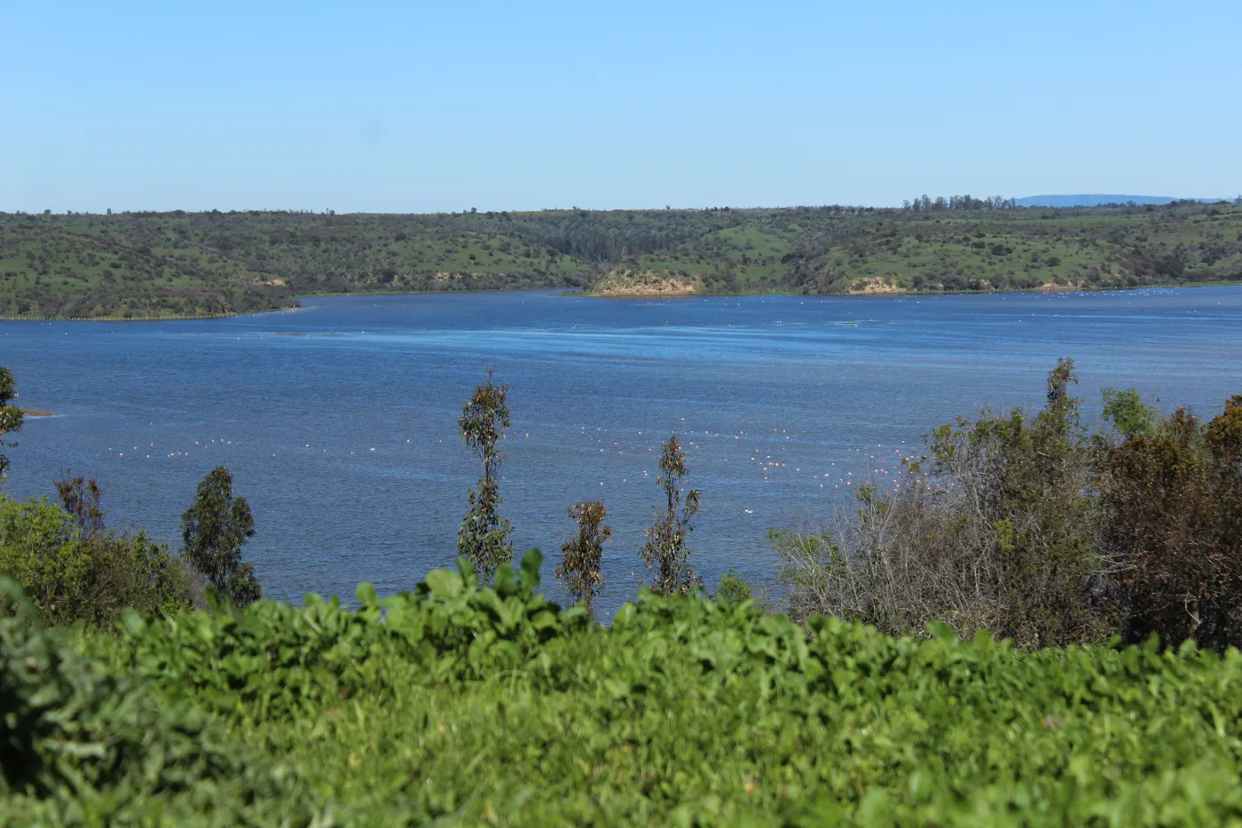 El Bajo del Polvo con agua en invierno en el Humedal El Yali, Región de Valparaíso, Chile